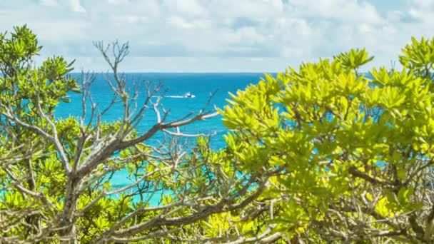 Voyeuristic View Focus Shifting Bermudan Island Plants Oceangoing Boat Tropical — Stock Video