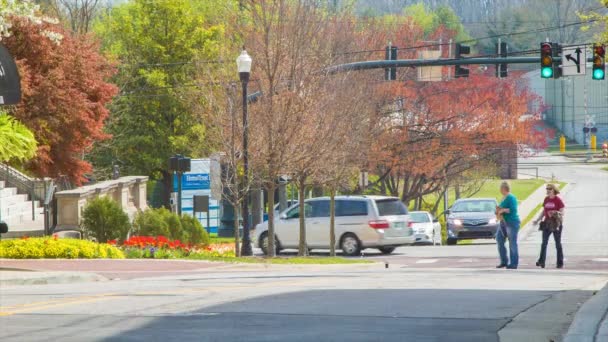 Een Levendige Zijstraat Door Historische Stad Hendersonville Bergen Van West — Stockvideo