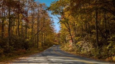 Batı Kuzey Carolina Blue Ridge Dağları'nda Asheville yakınlarındaki bir Sonbahar Sabahı bir Sonbahar Renkli Ağaç Canopy ve Mavi Gökyüzü ile Manzaralı Bir Karayolu Üzerinde Seyahat Araçlar