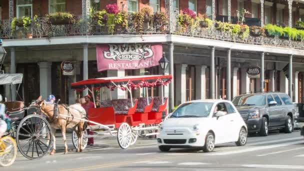 New Orleans Informatieve Toeristische Bewegwijzering Historische Franse Wijk Van Crescent — Stockvideo