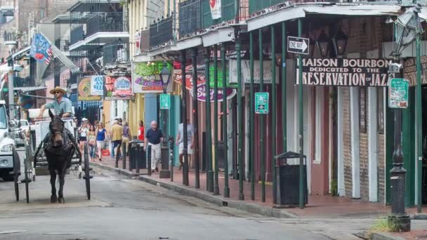 Tagsüber Bourbon Straßenszene New Orleans Louisiana Mit Pferd Und Kutsche — Stockvideo