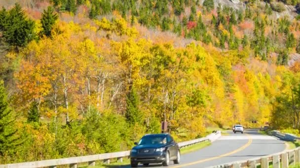 Vippning Upp Från Trafiken Blue Ridge Parkway Förbi Höst Färgade — Stockvideo