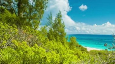 Tropik Bermuda Bir Tenha Özel Plaj Üzerinde Panning Lush Yerli Yeşillik Turkuaz Renkli Su ve Sıcak ve Güneşli Bir Günde Epik Beyaz Bulutlar ile Mavi Gökyüzü featuring