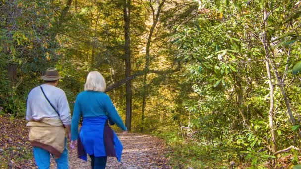 Pessoas Passeando Longo Caminho Caminhada Com Árvores Coloridas Queda Linville — Vídeo de Stock