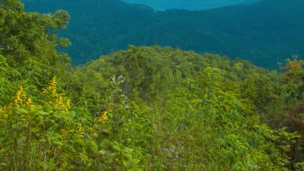西ノースカロライナ州のスモーキー山脈のアッシュビル近くのブルーリッジ山脈の複数層に向かって緑豊かな葉から傾く — ストック動画
