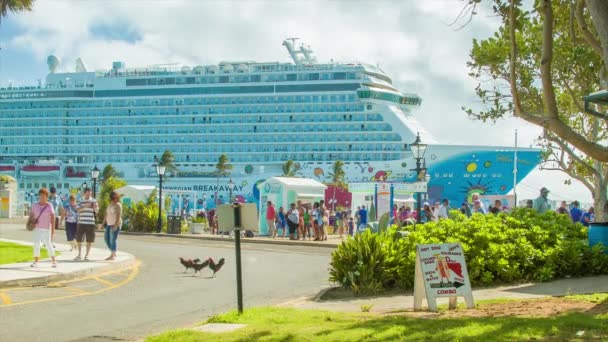 Élénk Jelenet Kings Wharf Cruise Port Bermuda Csirkék Emberek Átkelés — Stock videók