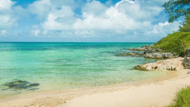 バミューダ諸島の南側にある牧歌的なエキゾチックなビーチで 黄金の砂の緑豊かな緑の葉が澄んだ熱帯の水と青い空の白い雲をフィーチャーした晴れた日に — ストック動画