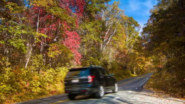 一辆Suv在北卡罗来纳州西部蓝岭山脉的阿什维尔和布雷瓦德附近的阿什维尔和布雷瓦德 Brevard 的秋天与秋天的颜色和蓝天一起行驶在风景秀丽的276号公路上 — 图库视频影像