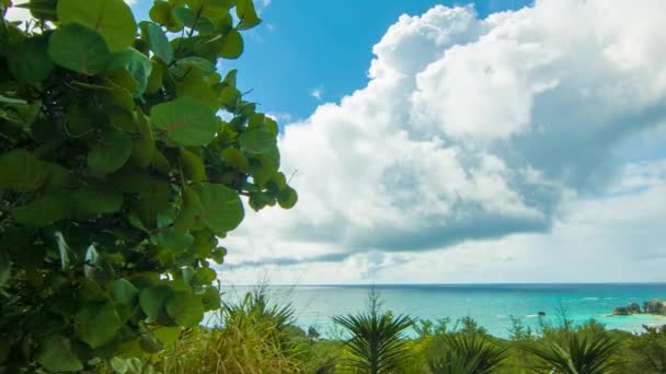 Schwenken Eine Idyllische Bermudische Naturkulisse Mit Hufeisenbucht Der Ferne Mit — Stockvideo