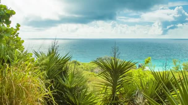 버뮤다의 놀라운 풍경은 여름날에 식물과 청록색 하늘이 서사시 구름으로 합니다 — 비디오