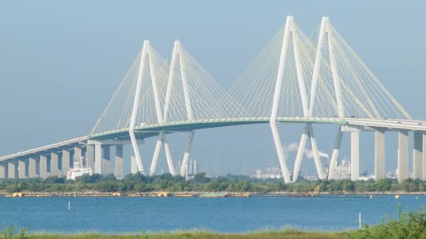 Primer Plano Del Puente Fred Hartman Baytown Cable Stayed Sobre — Vídeo de stock