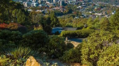 Tilting-up Mavi Gökyüzü ve Sonbahar Renkli Yaprakları ile Sonbahar sırasında Town Mountain görülen Asheville City Downtown Uzun Menzilli Görünümü Revealing