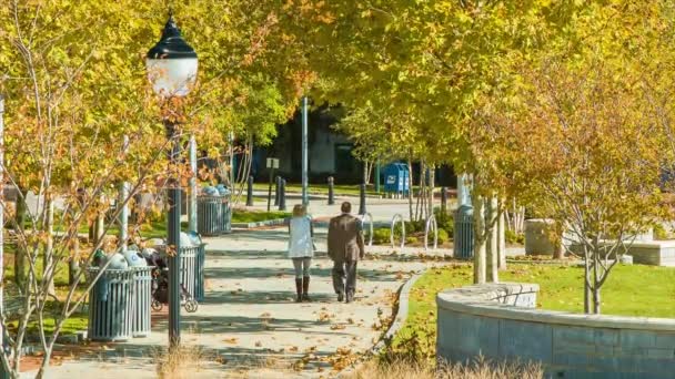 パスに沿って秋の色の木と晴れた秋の朝にダウンタウンアッシュビルNcのパックスクエアパークを散歩カップル — ストック動画