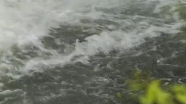 西ノースカロライナ州のブルーリッジ山脈のプールに飛び散る見るガラスの滝のクローズアップ — ストック動画