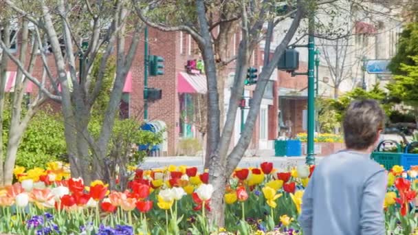 Person Walking Main Street Nel Centro Storico Hendersonville Tra Fiori — Video Stock