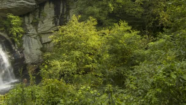 ノースカロライナ州のブルーリッジ山脈のブレバードとアッシュビル付近の高速道路276号線のデュポン州立森林のガラスの滝を見てパンニング — ストック動画