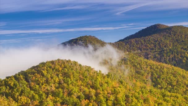 雾冲过蓝岭山脉在秋天与秋天的树叶和蓝天在阿什维尔Nc附近的公园路 — 图库视频影像