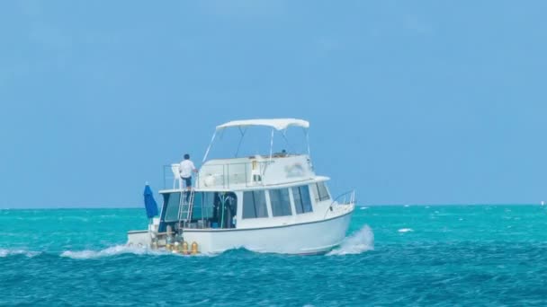 Búvárkodás Boat Trópusi Sziget Vizein Bermuda Ember Előkészítése Hosting Turisták — Stock videók