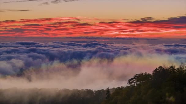 Misteriosas Formaciones Nubes Con Arco Iris Través Niebla Durante Amanecer — Vídeos de Stock