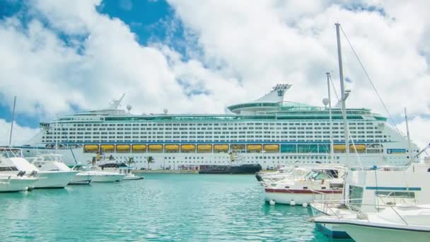 Royal Caribbean Cruise Ship Explorer Seas Docked Kings Wharf Bermuda — Stock Video