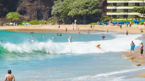 Σέρφινγκ Κύματα Στο Μάουι Χαβάη Επισκέπτριες Ανθρώπους Κολύμπι Και Κύματα — Αρχείο Βίντεο
