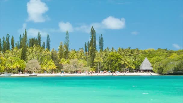 Exotisk Isle Pine Beach Med Hydda Livfulla Tropiska Färger Idyllisk — Stockvideo