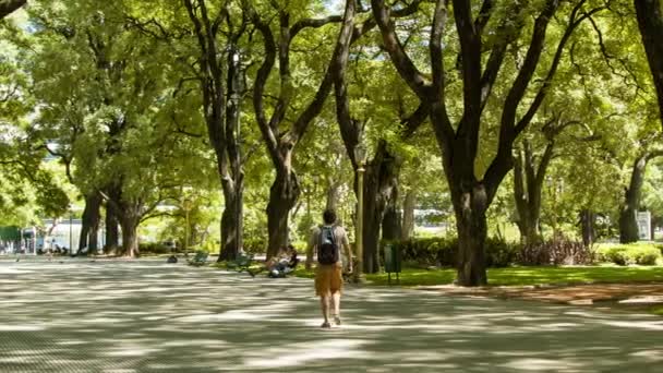 Буенос Айрес Аргентина Людина Ходьбі Плаза Майо Парк Шляху Покриті — стокове відео