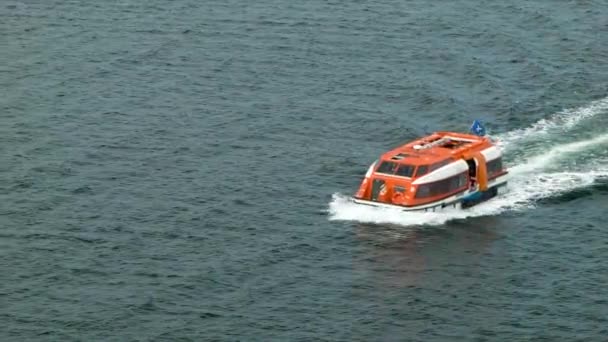 Promi Kreuzfahrten Rettungsboot Tender Zwischen Port Stanley Und Dem Kreuzfahrtschiff — Stockvideo