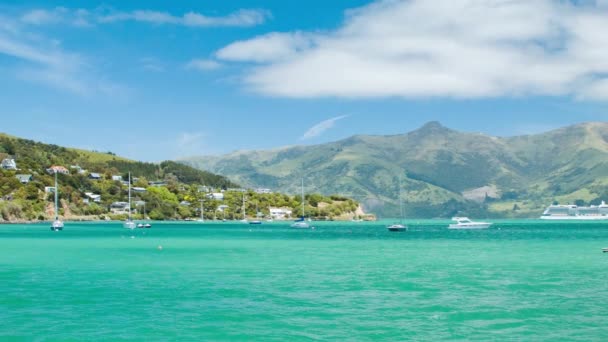 Akaroa Yeni Zelanda Limanı Waterfront Homes Tekneler Yaz Sezonunda Mesafe — Stok video