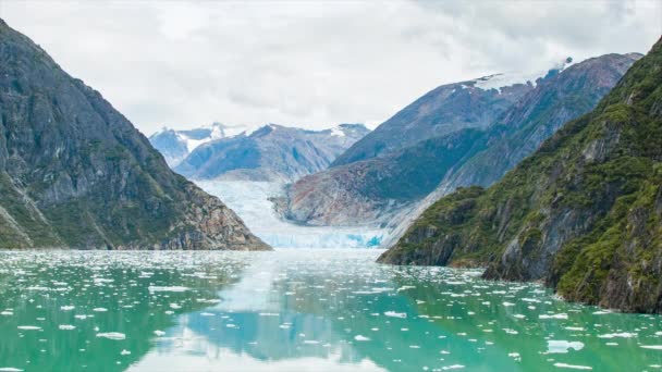 トレーシー アーム フィヨルド アラスカのソーヤー氷河ワイドショット 水中の白い氷の浮遊片 — ストック動画
