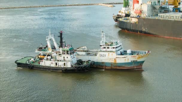 Barcos Pesca Remolcadores Locales Tiro Ancho Que Llegan Puerto Montevideo — Vídeo de stock