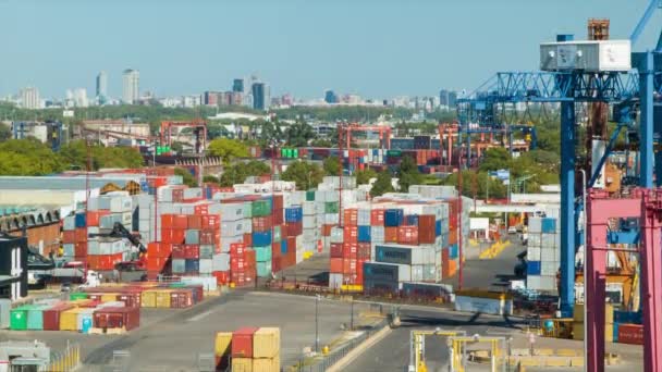 Porto Buenos Aires Argentina Con Città Sullo Sfondo Con Container — Video Stock