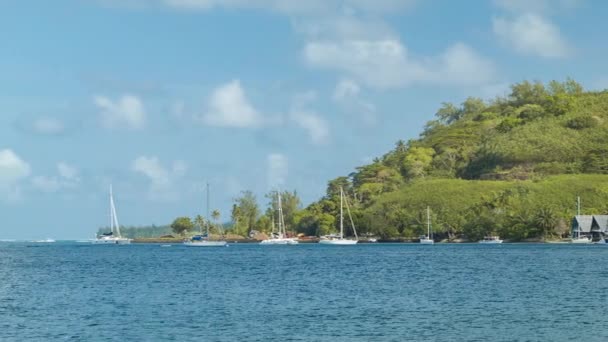 Propiedades Recreativas Frente Mar Isla Bora Bora Polinesia Francesa Del — Vídeos de Stock