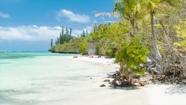 Man Zit Alleen Het Strand Isle Pine Nieuw Caledonië Een — Stockvideo