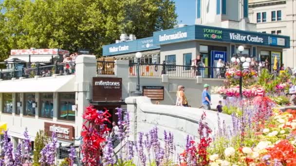 Victoria Besucherinformationszentrum Der Hafenpromenade Mit Sightseeing Touristen Zwischen Blumengärten — Stockvideo
