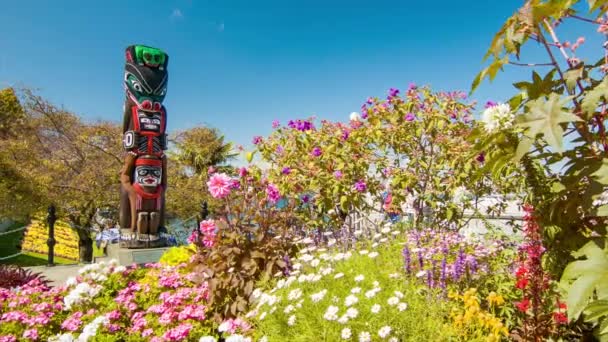 Victoria Tourrists Sightseeing Gardens Totem Poles British Columbia Canada Popular — стоковое видео