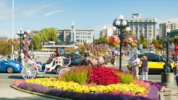 Victoria British Columbia Tętniąca Życiem Ulica Sceny Turystami Wśród Kwiatów — Wideo stockowe