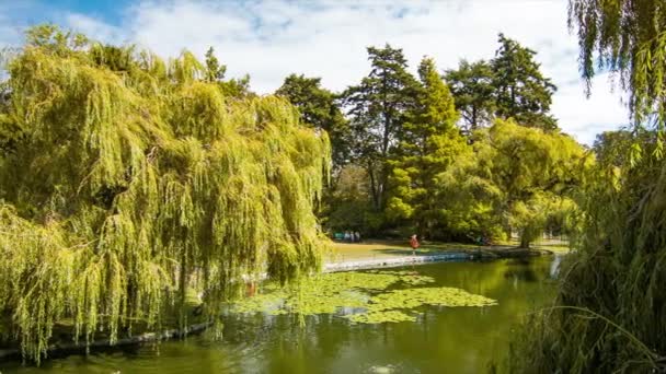 Victoria Britisch Columbia Malerische Leuchtturmhügel Park River Damm Und Teich — Stockvideo