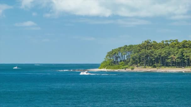 Punta Del Este Urugwaj Wyspa Woda Żeglarstwo Rekreacja Oceanie Atlantyckim — Wideo stockowe