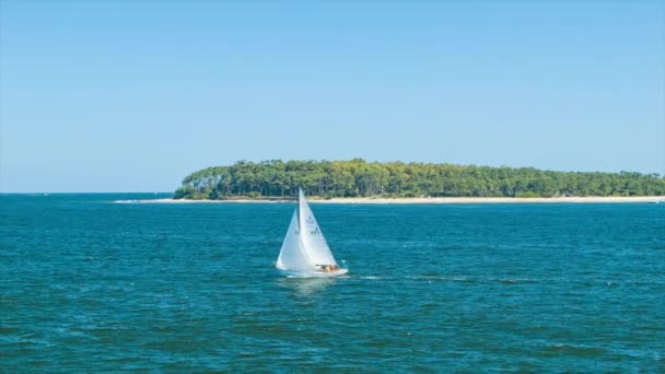 Segelboot Segelt Der Südamerikanischen Insel Punta Del Este Uruguay Vorbei — Stockvideo