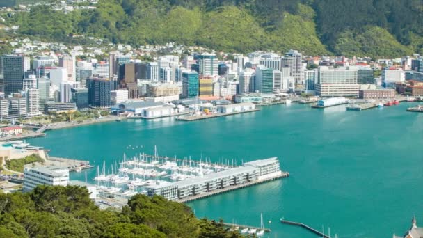 Wellington Nova Zelândia Close Panning Lambton Harbour Para Edifícios Capital — Vídeo de Stock