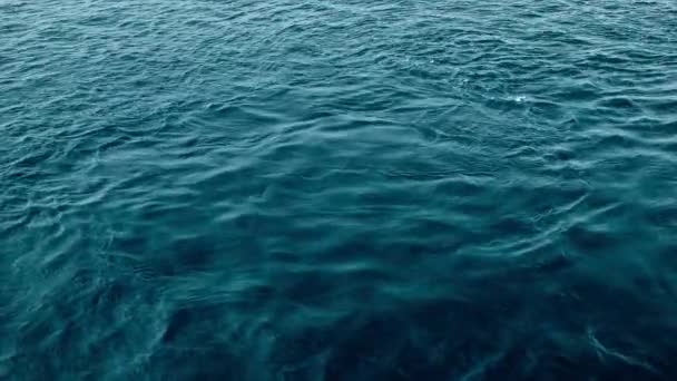 Kallt Antarktis Virvlande Vatten Närbild Med Fallande Snöflingor Och Vit — Stockvideo