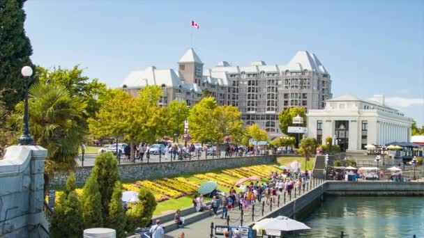 Victoria Vibrant Tourism Scene Waterfront Popular Inner Harbour Sunny Canadian — Stock Video