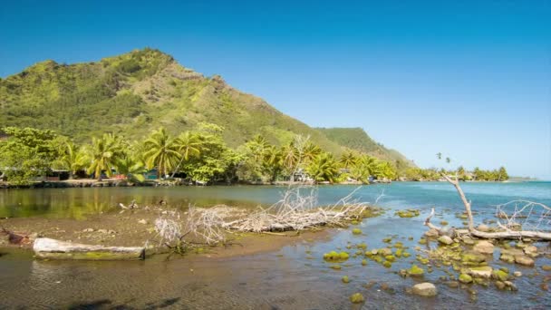 Moorea岛南太平洋海滨场景在异国情调的法属波利尼西亚与史诗山脉的背景和绿色自然在前景 — 图库视频影像
