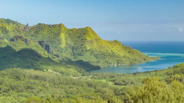 Panning Attraverso Baia Opunohu Paesaggio Tropicale Con Nave Crociera Ancorata — Video Stock