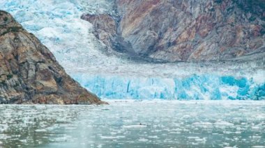 Sawyer Glacier Dokulu Closeup Shot Tracy Kol Fjord Alaska Deep Blue ve Yüzen Beyaz Buz Parçaları ile