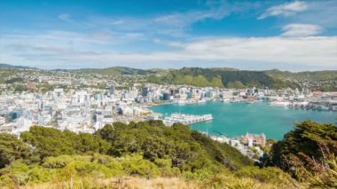 Wellington Yeni Zelanda Geniş Panoramik Panning City Mavi Gökyüzü ile Güneşli Summers Hava sırasında Overlook