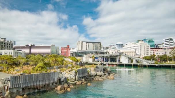 Wellington Nieuw Zeeland Centrum Stad Gebouwen Met Haven Water Frank — Stockvideo