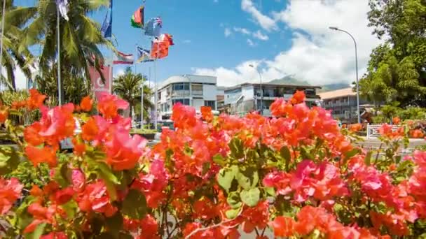 Tropische Bloemen Infront Van Voertuigen Rijden Een Zonnige Dag Papeete — Stockvideo