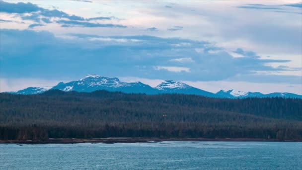 Снежные Горы Аляски Корабля Море Дикими Птицами Парящими Над Движущейся — стоковое видео